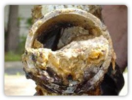 Sewer Repair NJ New Jersey drain service trenchless middlesex county