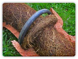 Sewer Repair NJ New Jersey drain service trenchless middlesex county